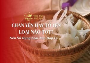 Chân Yến Hay Tổ Yến Tốt Hơn