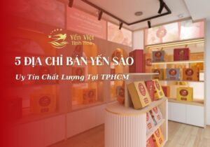 Địa Chỉ Bán Yến Sào