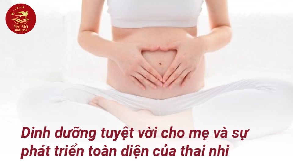 Dinh Dưỡng Cho Mẹ Bầu