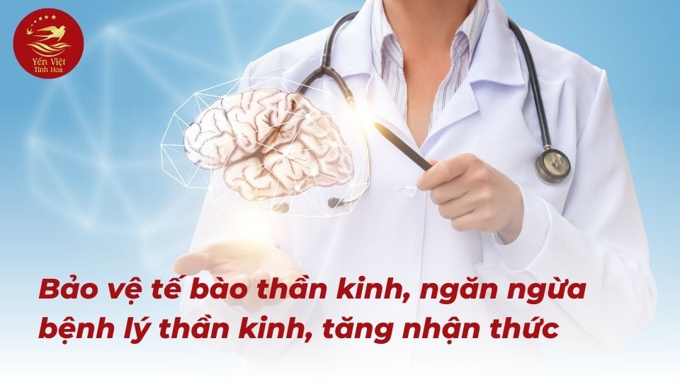 Tăng Cường Sức Khỏe Não Bộ