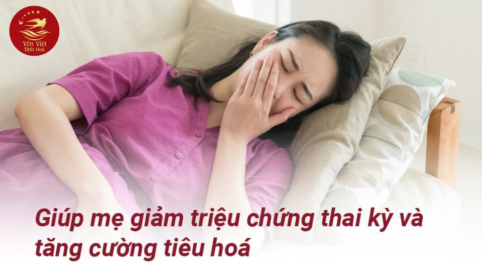 Tăng Cường Hệ Tiêu Hóa