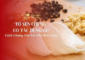 Tổ Yến Chưng Có Tác Dụng Gì