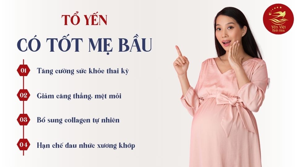 Tổ Yến Có Tốt Cho Mẹ Bầu