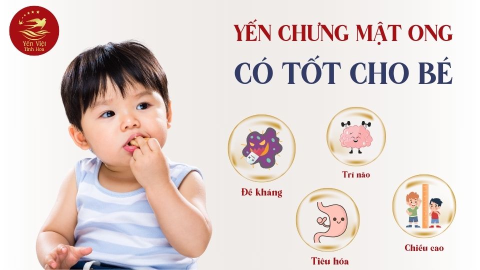 Yến Chưng Mật Ong Có Tốt Cho Bé