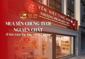 Yến Chưng Tươi Nguyên Chất