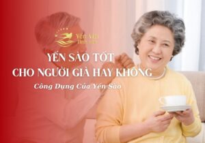 Yến Sào Có Tốt Cho Người Già Hay Không