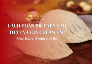 cách phân biệt yến sào thật và giả