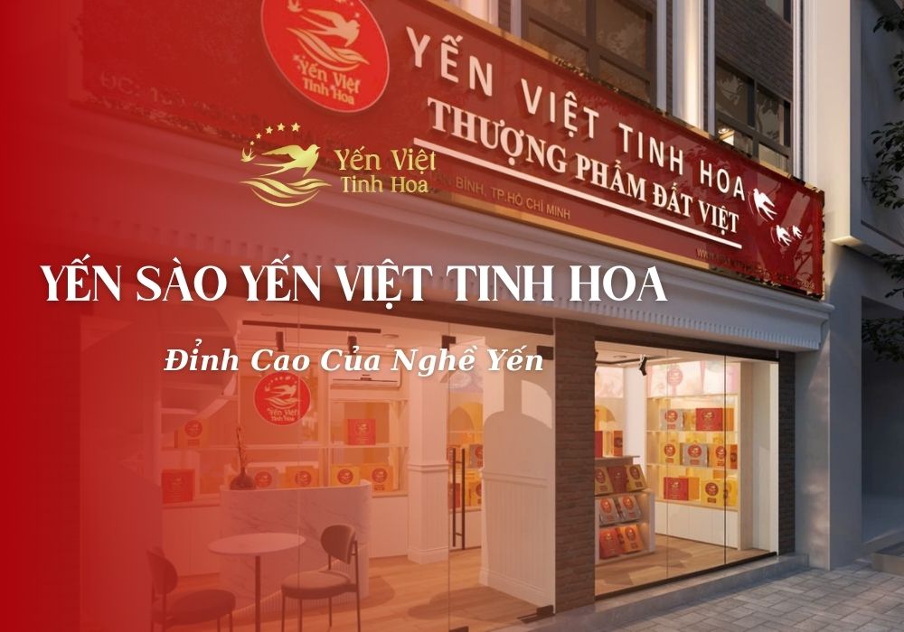 Công Ty Yến Sào Yến Việt Tinh Hoa