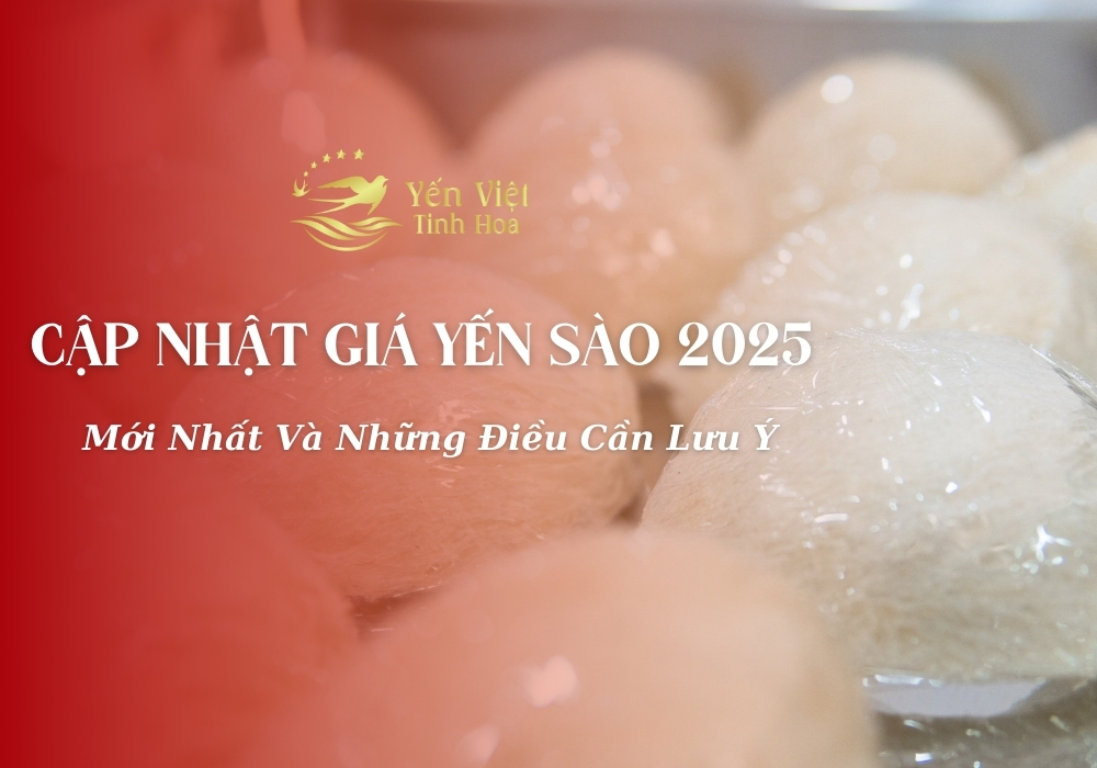 Cập nhật giá yến sào 2025