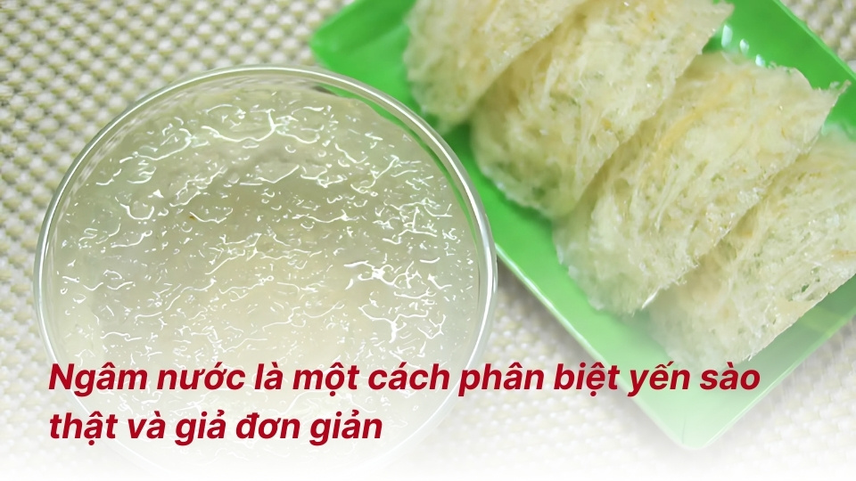 ngâm nước là một cách phân biệt yến sào thật và giả đơn giản