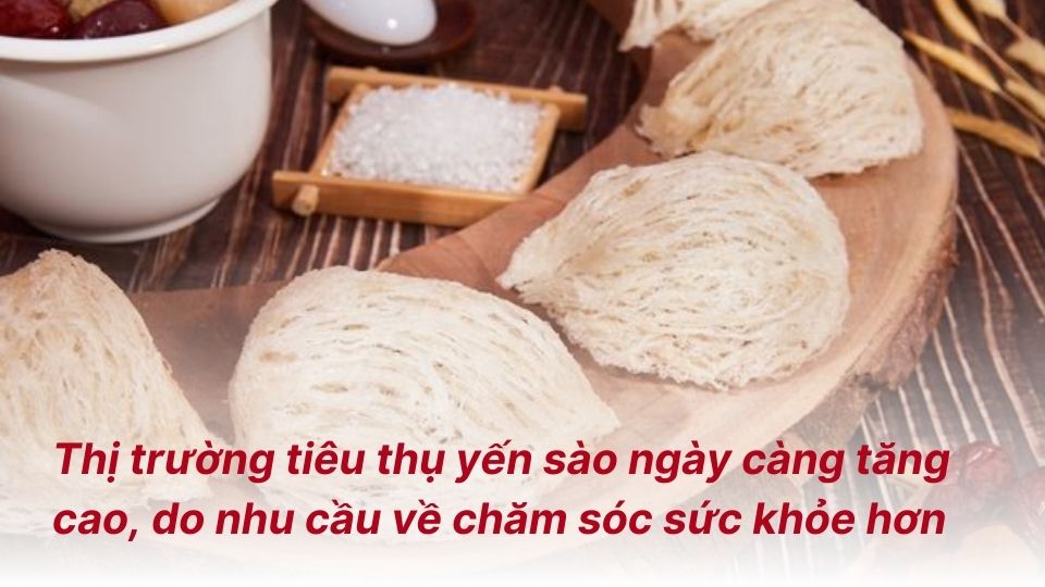 Nhu cầu thị trường yến sào