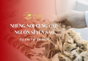 sỉ yến sào