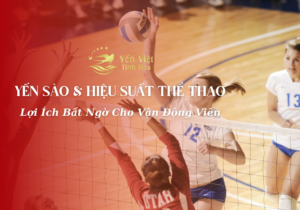 Yến Sào Và Hiệu Suất Thể Thao