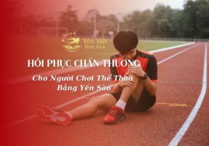 Hồi Phục Chấn Thương Cho Người Chơi Thể Thao Bằng Yến Sào