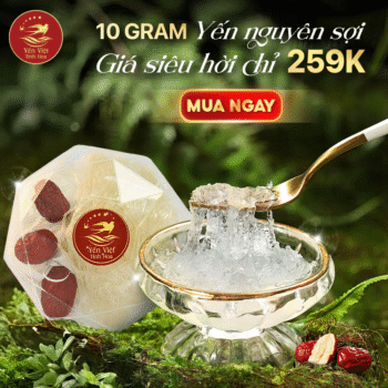 Tổ Yến Tinh Chế Nguyên Sợi Cao Cấp 10 gram