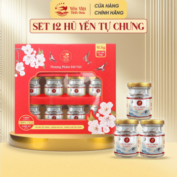 Yến Tự Chưng - Set 12 Hũ Yến Sào Tự Chưng Tại Nhà