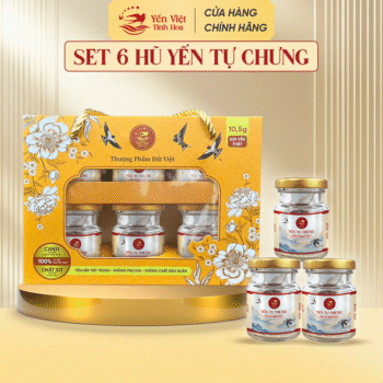 Yến Tự Chưng - Set 6 Hũ Yến Sào Tự Chưng Tại Nhà
