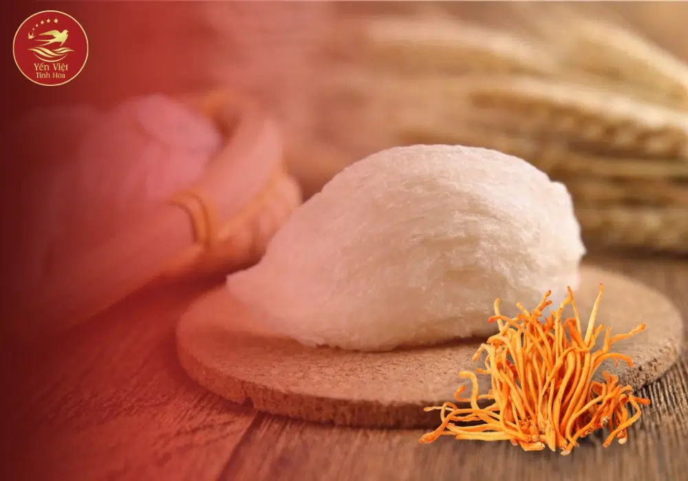 Công dụng yến chưng đông trùng