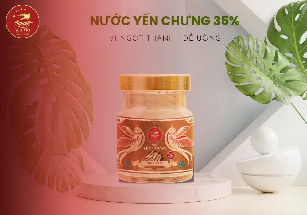 Yến chưng nhân sâm là gì?