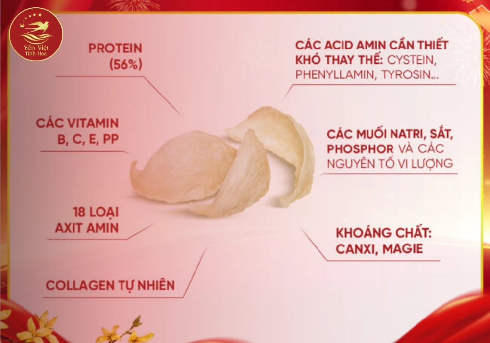 Thành Phần yến sào
