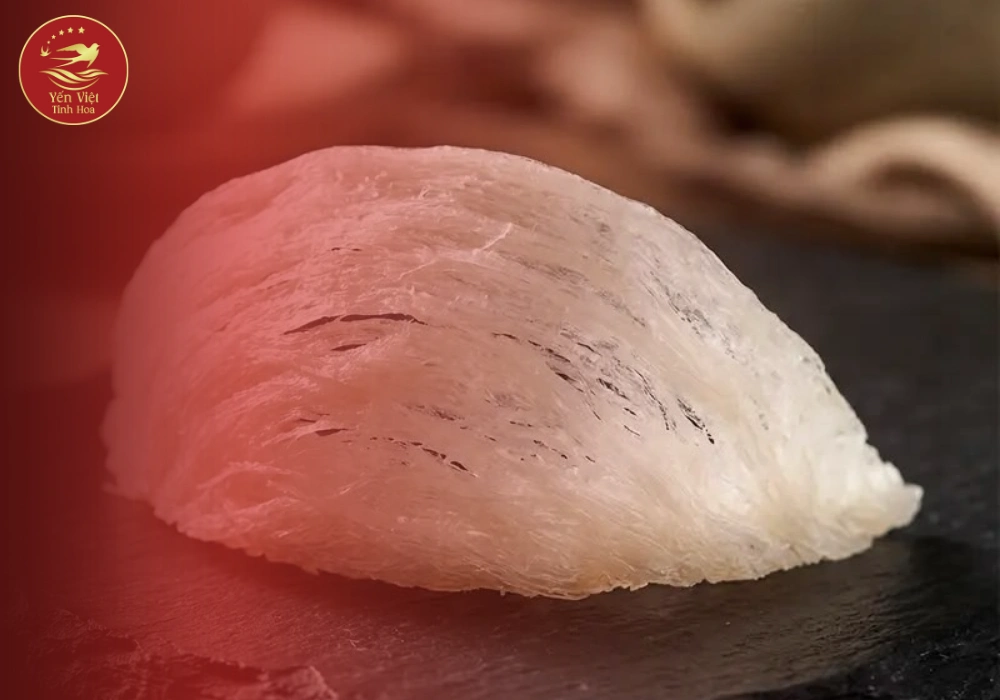 Yến sào là gì? Nguồn gốc