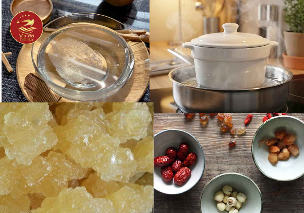 Các bước chưng tổ yến với đường phèn