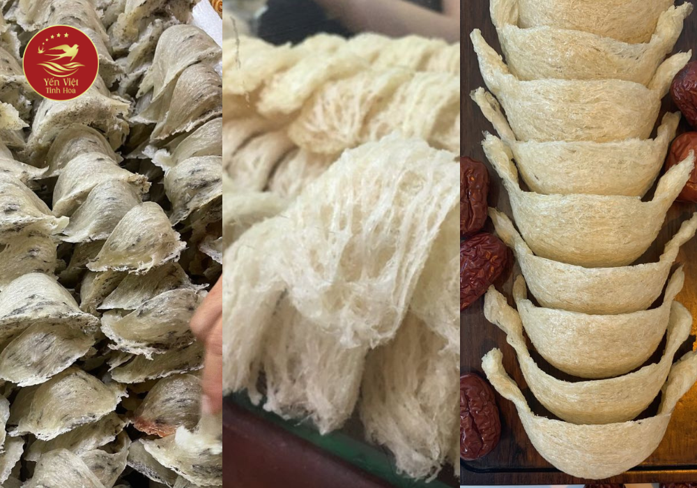 Loại tổ yến (thô – tinh chế – rút lông)