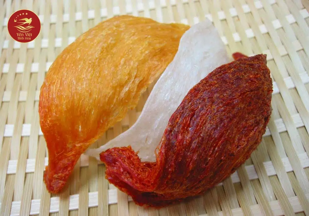 Phân biệt tổ yến