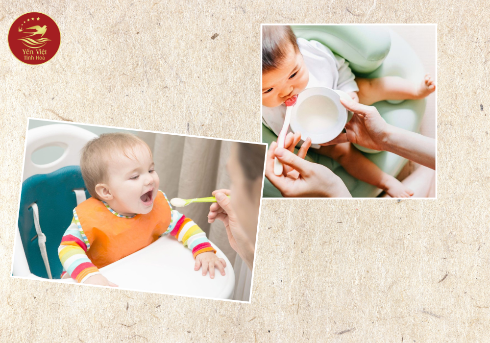 Tác dụng của yến chương đối với trẻ em