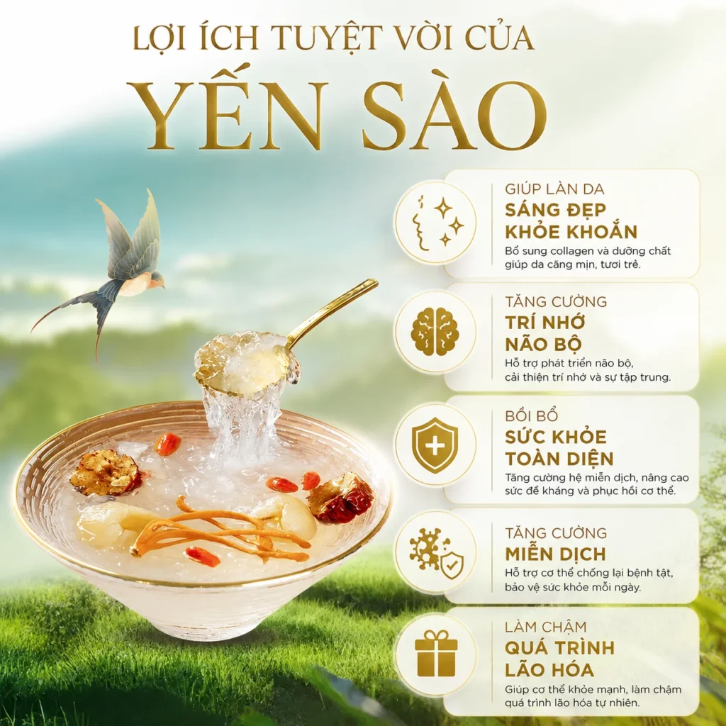 Lợi ích của yến sào