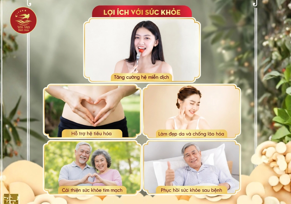 Công dụng của yến sào