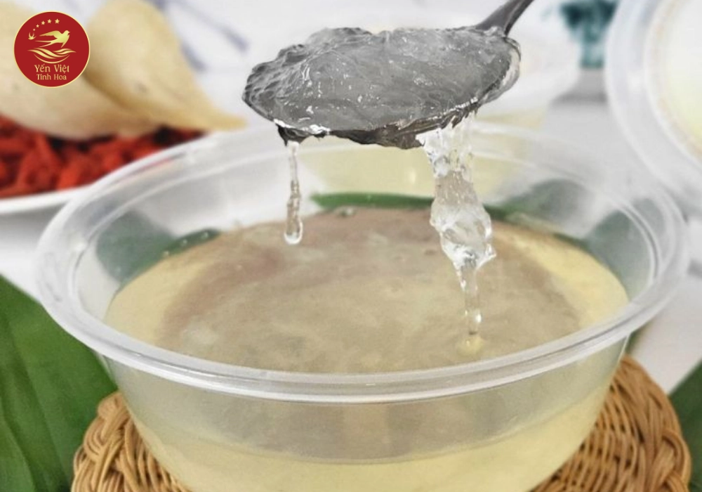 Các loại yến chưng tươi tốt nhất hiện nay