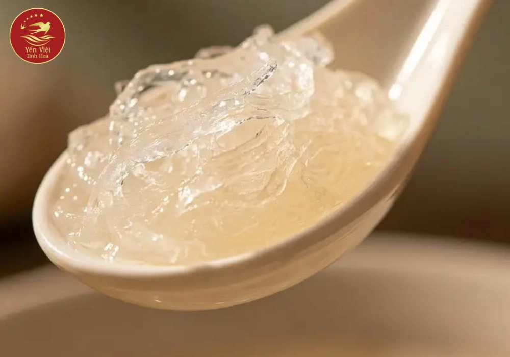 Các Tiêu Chí Chọn Mua Yến Tươi Chưng Sẵn Phù Hợp