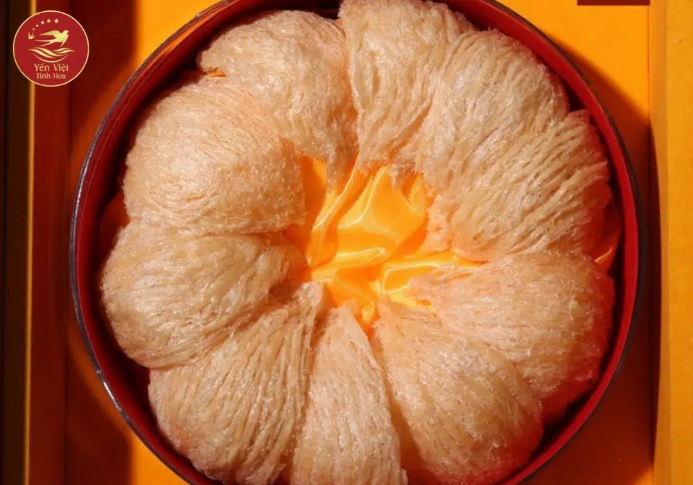 Giải đáp thắc mắc thường gặp về cách chưng yến ngon