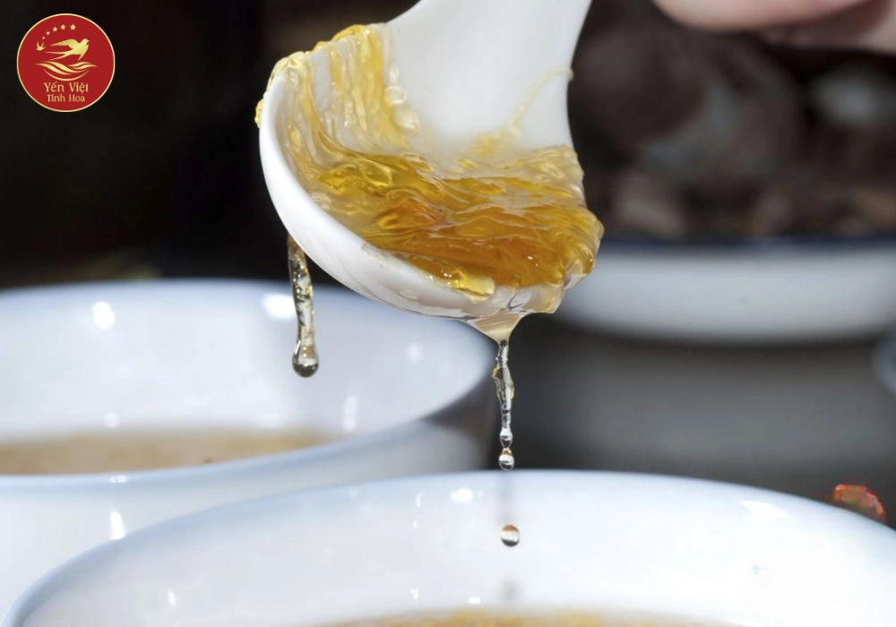 Lợi ích của yến chưng tươi đối với sức khỏe