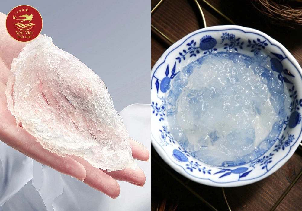 Phân biệt khi ngâm nước Yến thật