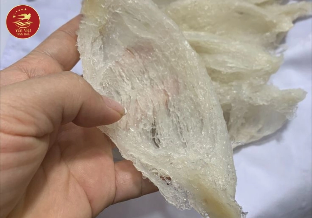 Tại sao cần biết cách chưng tổ yến đúng cách?