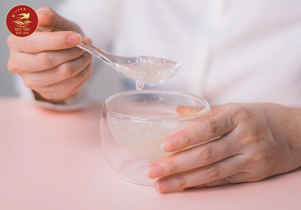 Vì sao nên chọn yến chưng tươi?