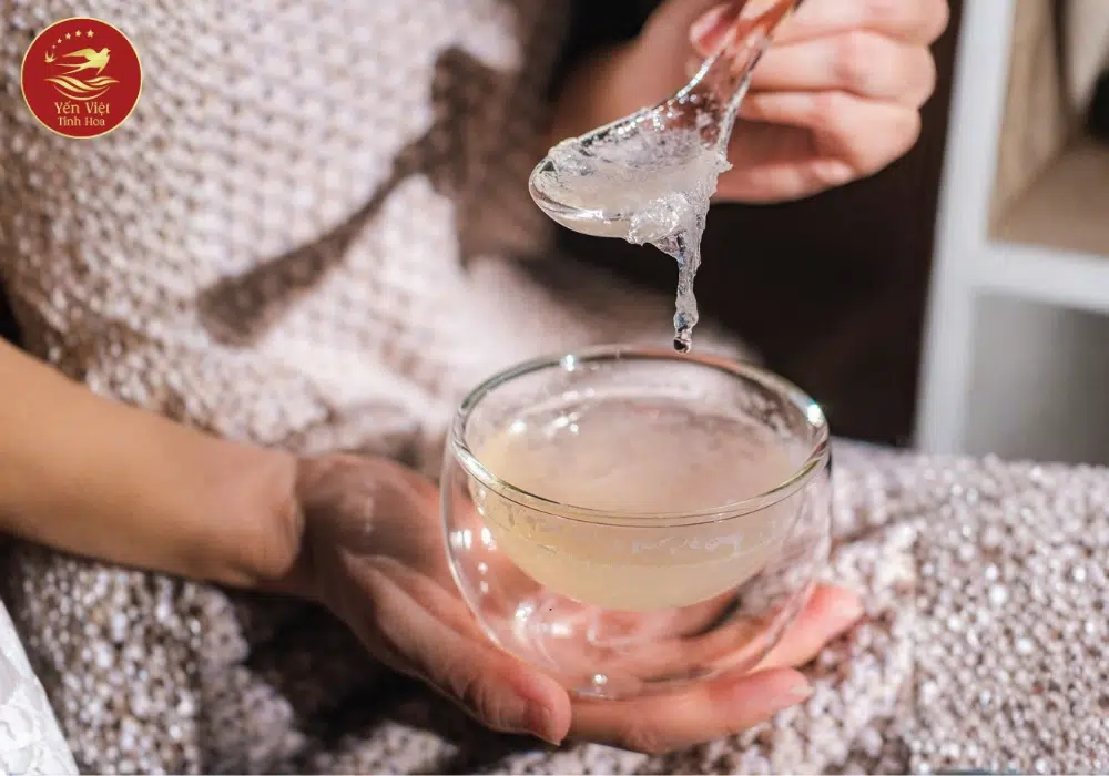 Lợi ích sức khỏe của yến chưng đông trùng hạ thảo