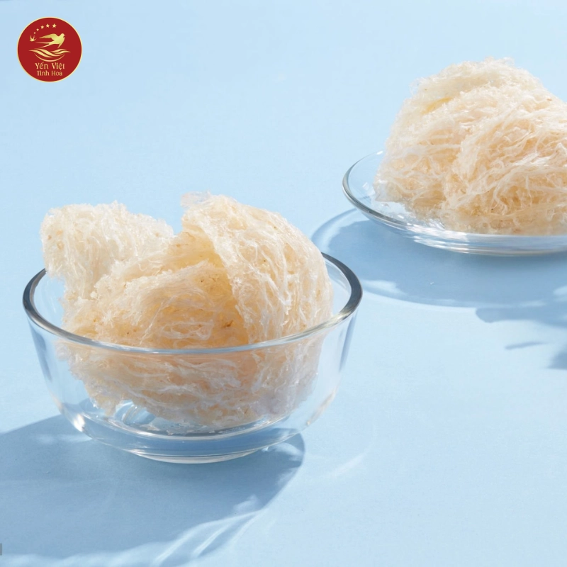 Yến Sào Thật Có Đặc Điểm Gì?