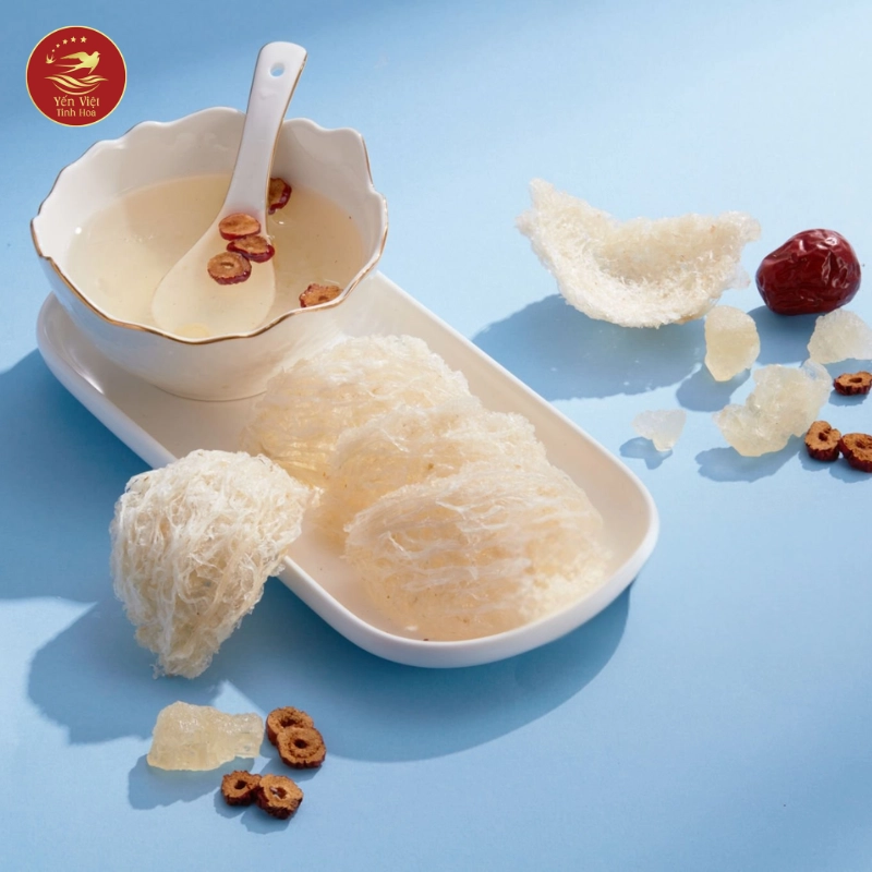 Cách Phân Biệt Yến Sào Thật Giả Hiệu Quả