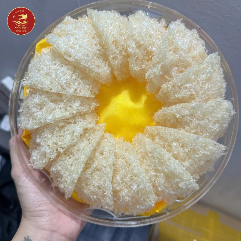 Giá Yến Tinh Chế Phổ Thông