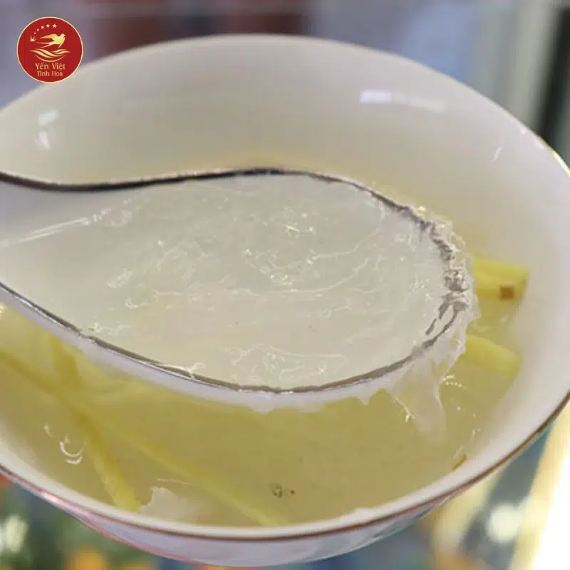 Cách chưng tổ yến đúng cách