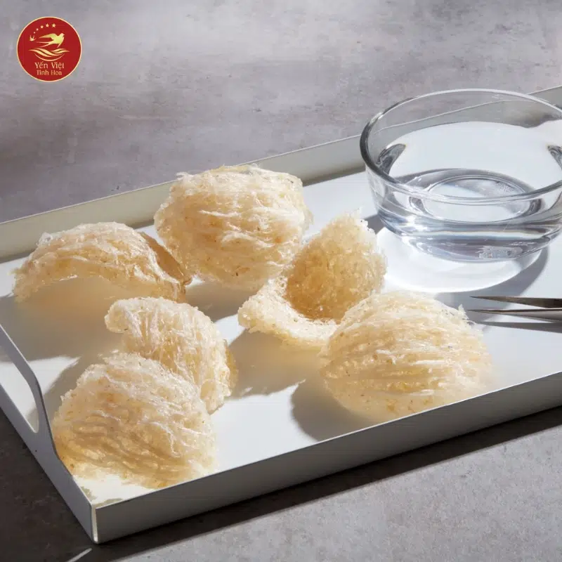 Xu Hướng Phụ Huynh Hiện Nay Khi Chọn Yến Cho Bé