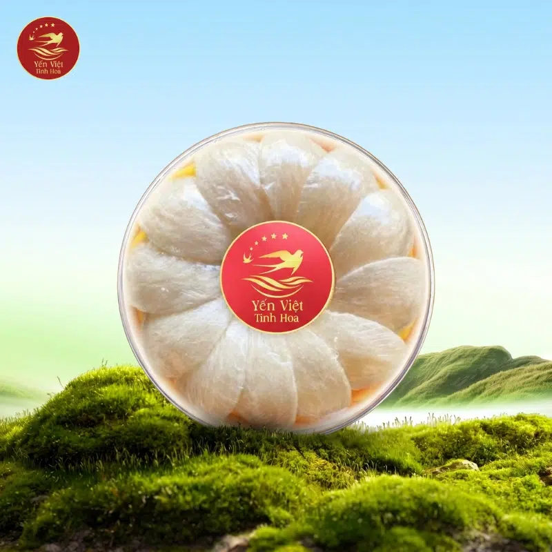Những Sai Lầm Khi Dùng Tổ Yến