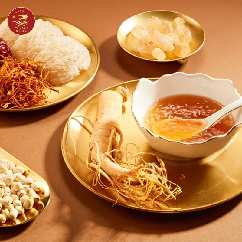 Có Nên Dùng Tổ Yến Mỗi Ngày Không?