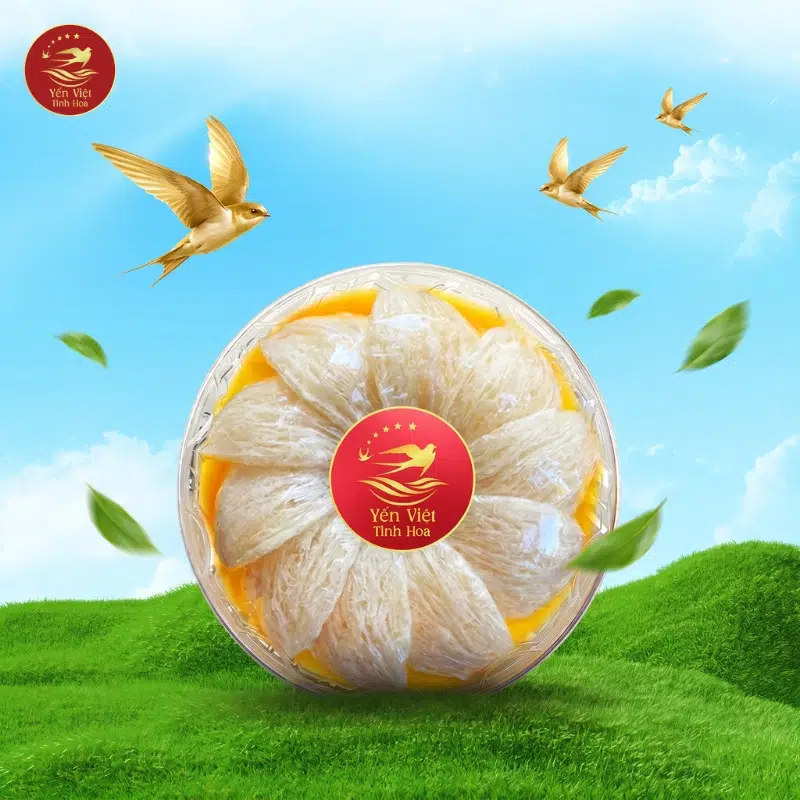 Câu Hỏi Thường Gặp Về Công Dụng Của Tổ Yến