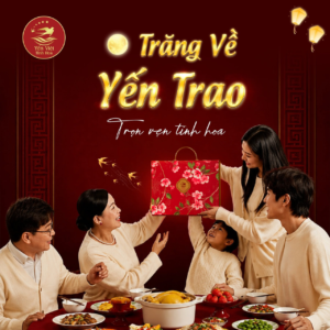 Trăng về - yến trao